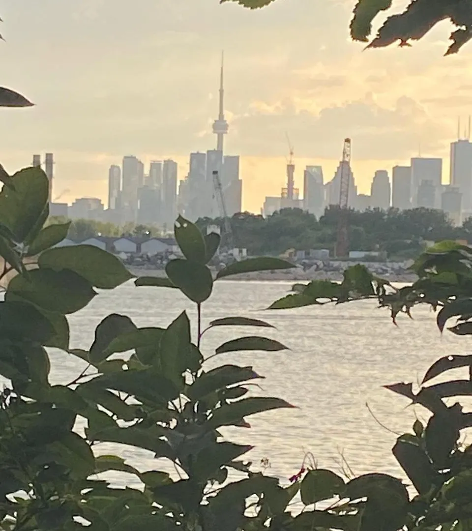 Beach House Toronto Homestay